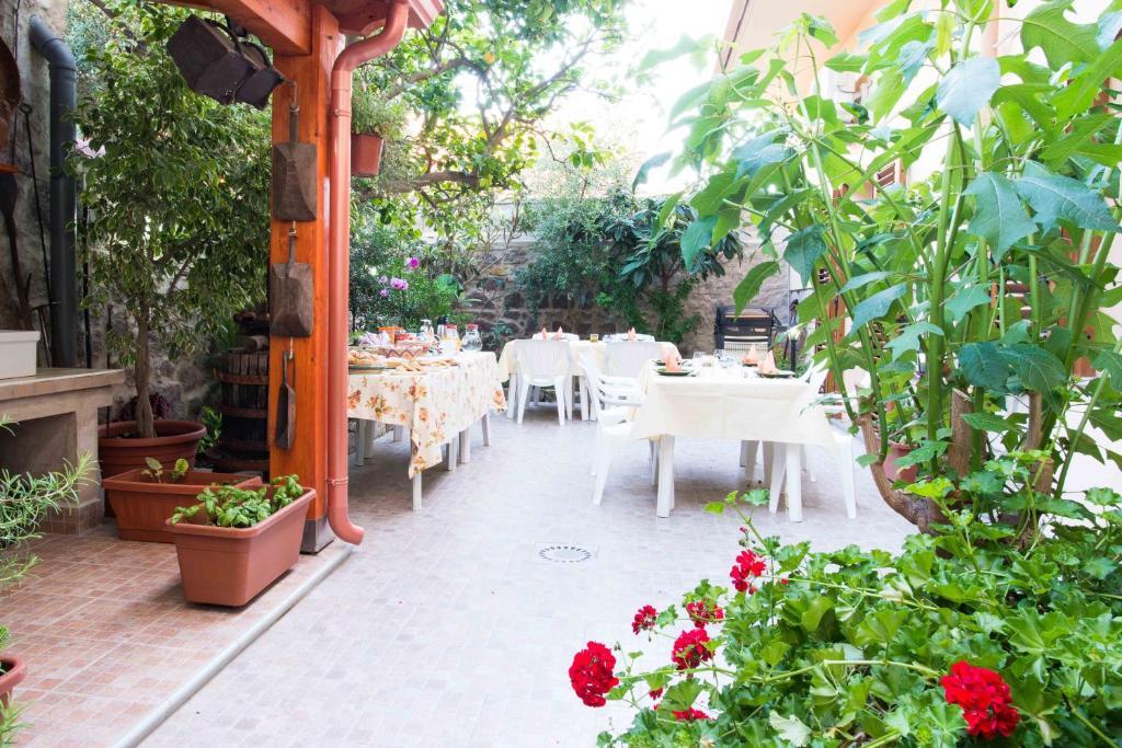 B&B L'Albero Dei Limoni 포르토스쿠소 외부 사진